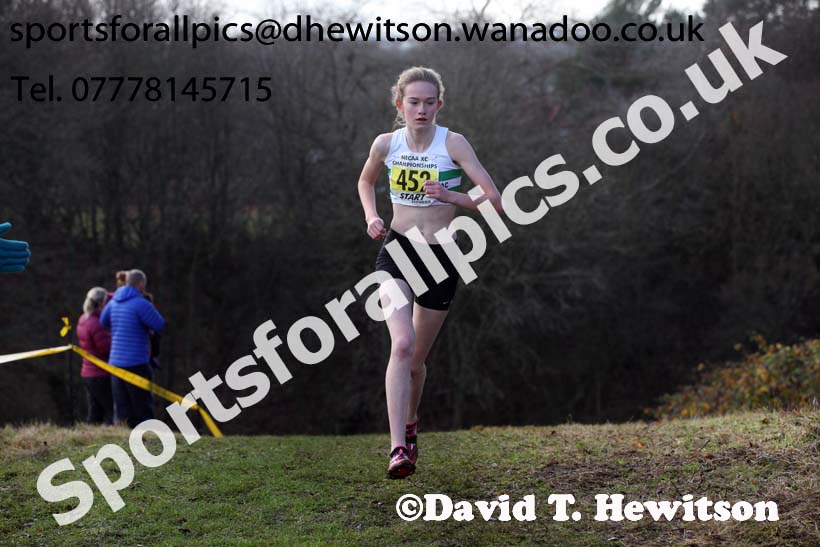 Womens under-17s and 20s North Eastern Cross Country, Aykley Heads, Durham. Photo: David T. Hewitson/Sports for All Pics